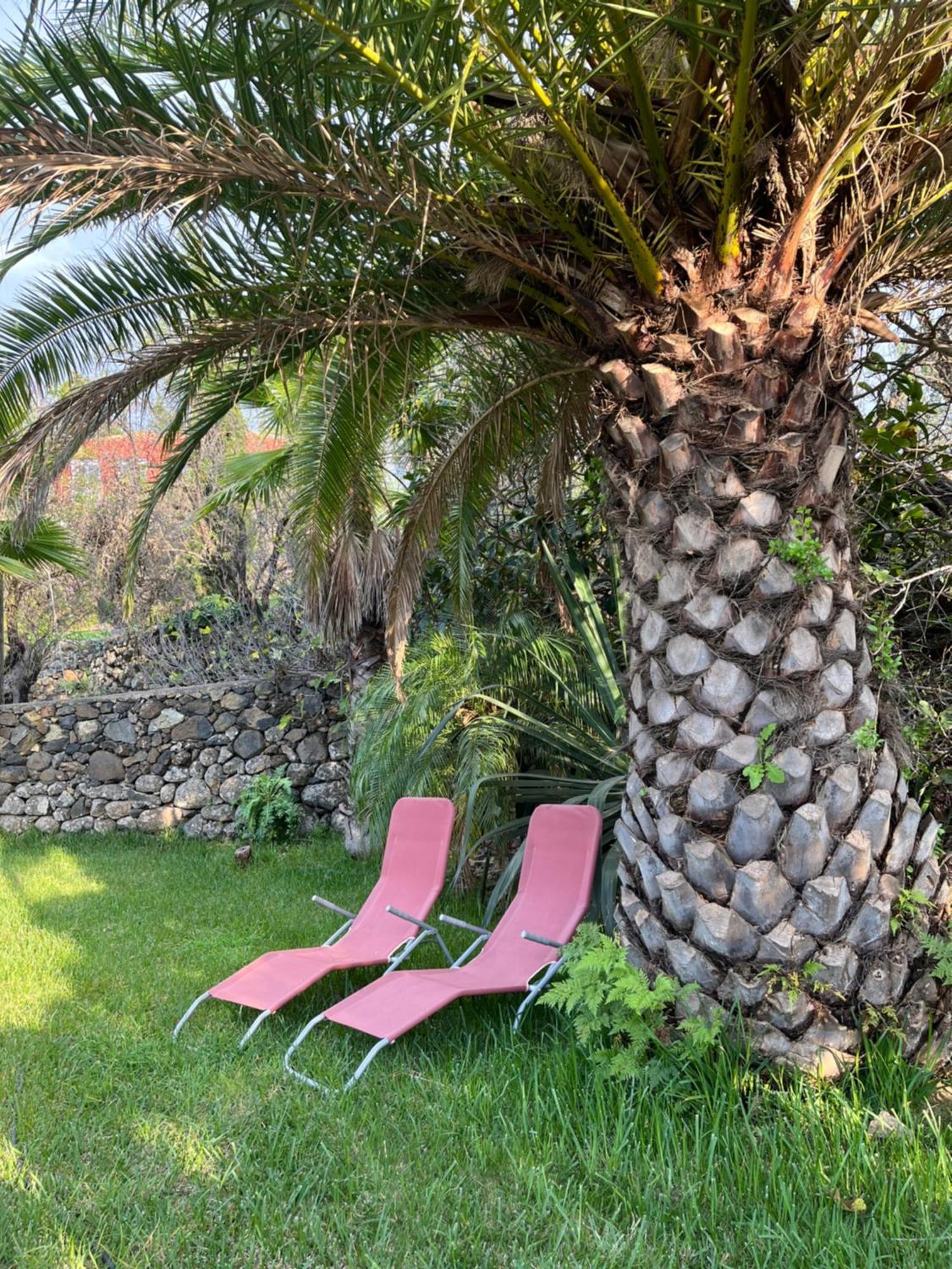 Feriendomizil Finca Tijarafe Mit Beheiztem, Abdeckbarem Pool Exterior photo