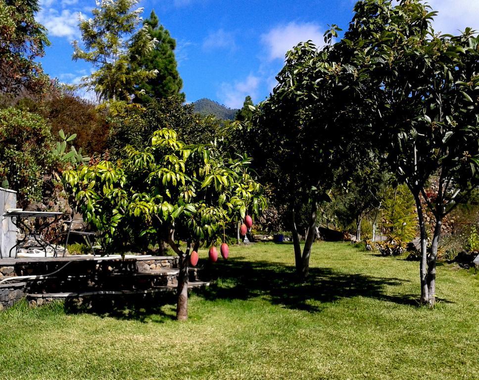 Feriendomizil Finca Tijarafe Mit Beheiztem, Abdeckbarem Pool Room photo